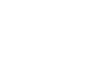 ReliHI