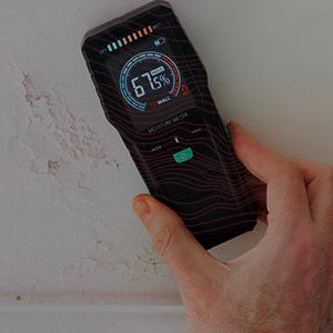 Mold Inspection Services